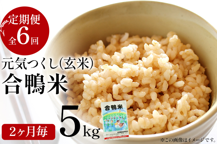 令和6年産 予約 合鴨米「元気つくし」（玄米・5ｋｇ）定期便6回コース　BI10　※2024年10月中旬より順次出荷予定(隔月発送予定)