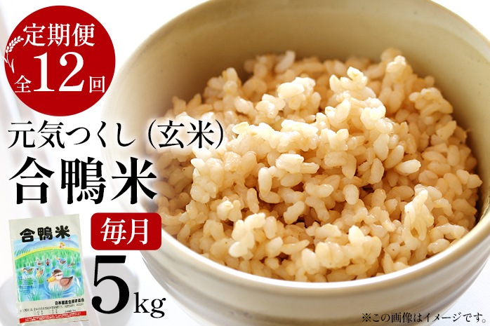 令和6年産 予約 合鴨米「元気つくし」（玄米・5ｋｇ）定期便12回コース　BI11　※2024年10月中旬より順次出荷予定