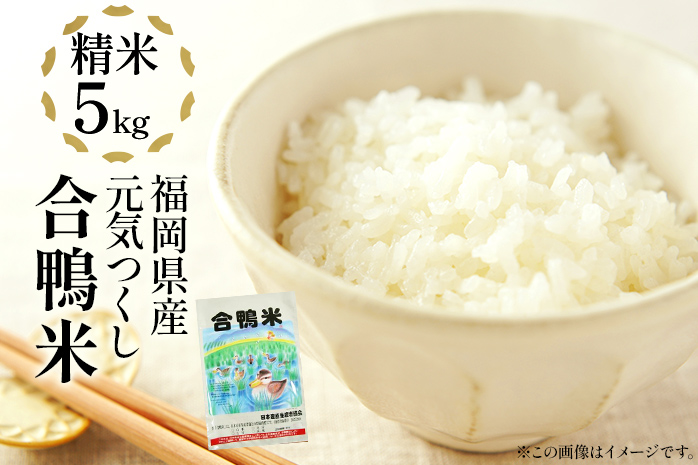 令和6年産 予約 合鴨米「元気つくし」（精米・5ｋｇ） ※2024年10月中旬より順次出荷予定　BI08　