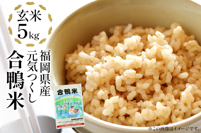 令和6年産 予約 合鴨米「元気つくし」（玄米・5ｋｇ） ※2024年10月中旬より順次出荷予定　BI09