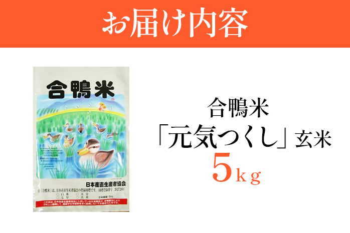 令和6年産 予約 合鴨米「元気つくし」（玄米・5ｋｇ） ※2024年10月中旬より順次出荷予定　BI09