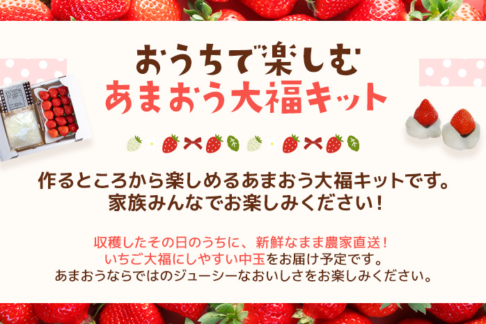 あまおう大福 手作りキット 大福 和菓子 キット セット 【2025年1月～4月にかけて順次出荷予定】餡子 あん お菓子 手作り 苺 いちご 福岡県 大木町 池上農園 BD03