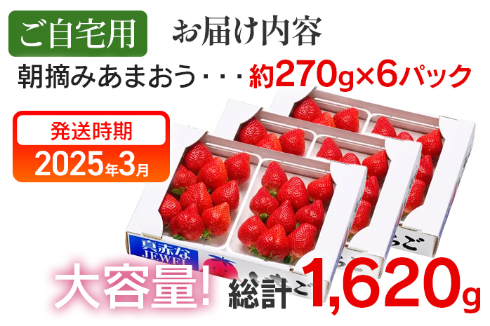 朝摘みあまおう約270g×6パック ※2025年3月中順次出荷予定 BD05