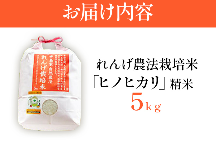 れんげ農法栽培米「ヒノヒカリ」（精米・5kg）　BI01