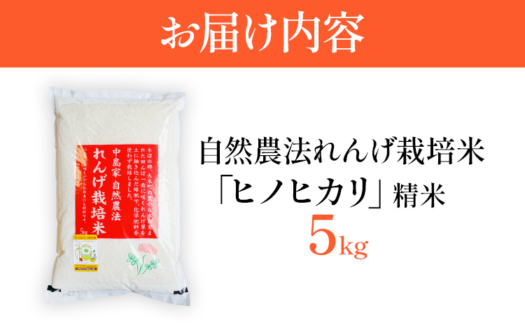 米 白米 ヒノヒカリ 精米 れんげ栽培米 自然農法れんげ栽培米「ヒノヒカリ」（精米・ 5kg）5kg れんげ草 れんげ栽培 有機肥料 有機栽培米 SDGs 環境 予約 国産 福岡県産 福岡県 大木町 中島農産 BI01