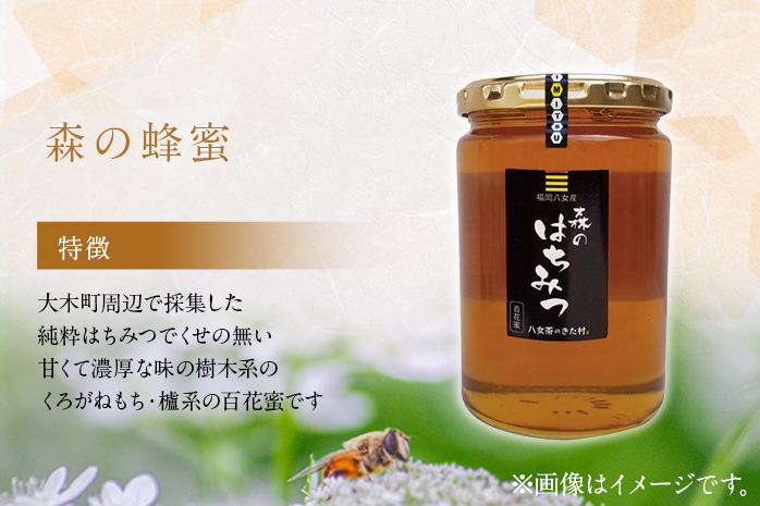 国産蜂蜜2ｋｇ（１ｋｇ瓶×２）セット　BM016