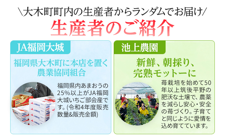 いちご あまおう 大木町産 約270g×4パック 合計1080g 【2025年1月～3月に順次出荷予定】 CB223