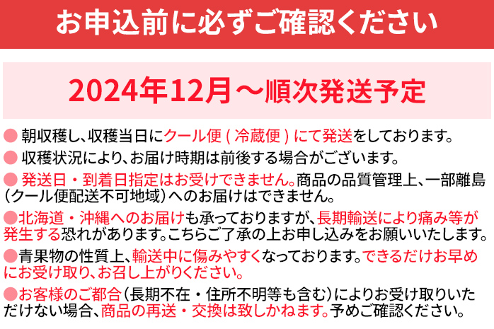 12月限定高級あまおうギフト 大玉3L～4Lサイズ 約12～16粒 BD06