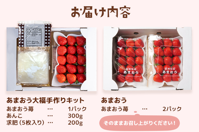 あまおう大福 手作りキット 大福 和菓子 キット セット 【2025年1月～4月にかけて順次出荷予定】餡子 あん お菓子 手作り 苺 いちご 福岡県 大木町 池上農園 BD03