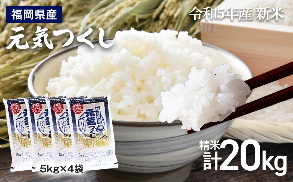 令和５年度米】新米 福岡県 大木町産 元気つくし 20kg BC05 - ふるさと