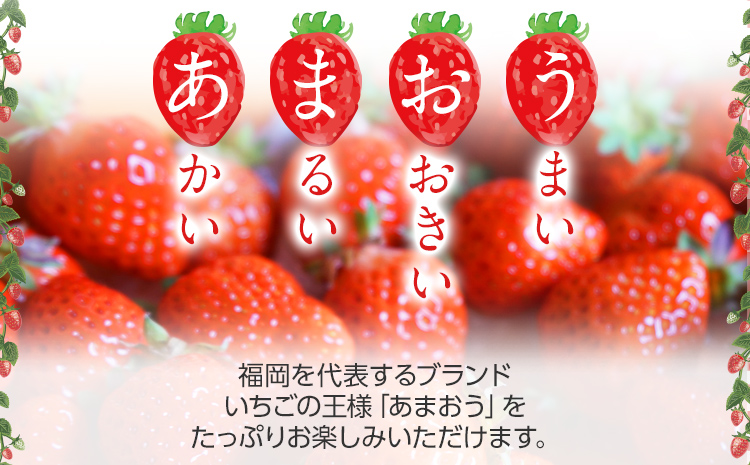 荒巻エコタロウ農園のちょっと小ぶりなたっぷりあまおう1,480g（約370g×4パック) 　中玉～小玉サイズ サイズ不揃い 【2025年2月～4月末にかけて順次出荷予定】BJ02
