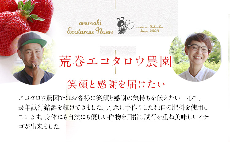 荒巻エコタロウ農園のちょっと小ぶりなたっぷりあまおう1,480g（約370g×4パック) 　中玉～小玉サイズ サイズ不揃い 【2025年2月～4月末にかけて順次出荷予定】BJ02
