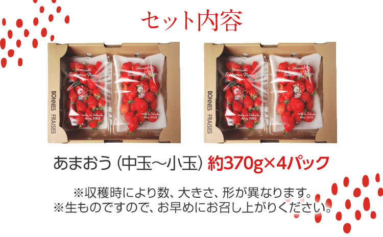 荒巻エコタロウ農園のちょっと小ぶりなたっぷりあまおう1,480g（約370g×4パック) 　中玉～小玉サイズ サイズ不揃い 【2025年2月～4月末にかけて順次出荷予定】BJ02
