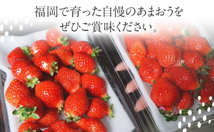 荒巻エコタロウ農園のちょっと小ぶりなたっぷりあまおう1,480g（約370g×4パック) 　中玉～小玉サイズ サイズ不揃い 【2025年2月～4月末にかけて順次出荷予定】BJ02
