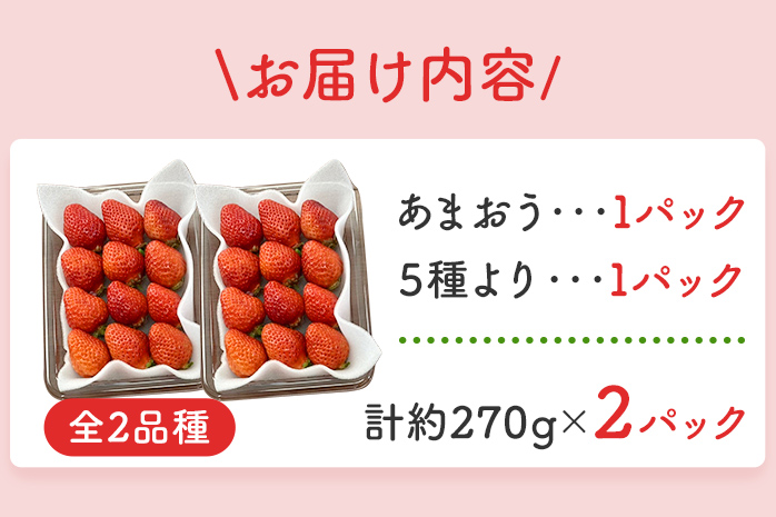 あまおうと旬のいちごの食べ比べセット 約270g×2パック　BO002