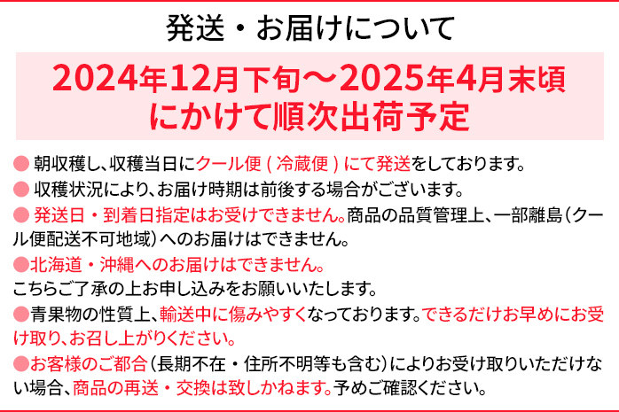 あまおうと旬のいちごの食べ比べセット 約300g×2パック 紅ほっぺ 恋みのり よつぼし スターナイト 星の煌き おすすめ 福岡県 大木町 BO002【2024年12月下旬～2025年4月末頃にかけて順次出荷予定】