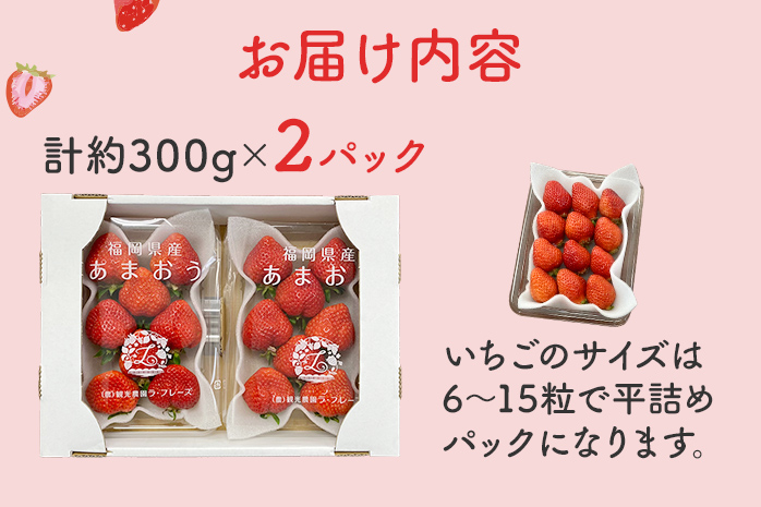 あまおう 約300g×2パック おすすめ 福岡県 大木町 BO003 【2024年12月下旬～2025年4月末頃にかけて順次出荷予定】いちご フルーツ 苺