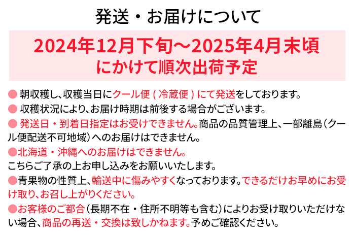 あまおう 約300g×2パック おすすめ 福岡県 大木町 BO003 【2024年12月下旬～2025年4月末頃にかけて順次出荷予定】いちご フルーツ 苺