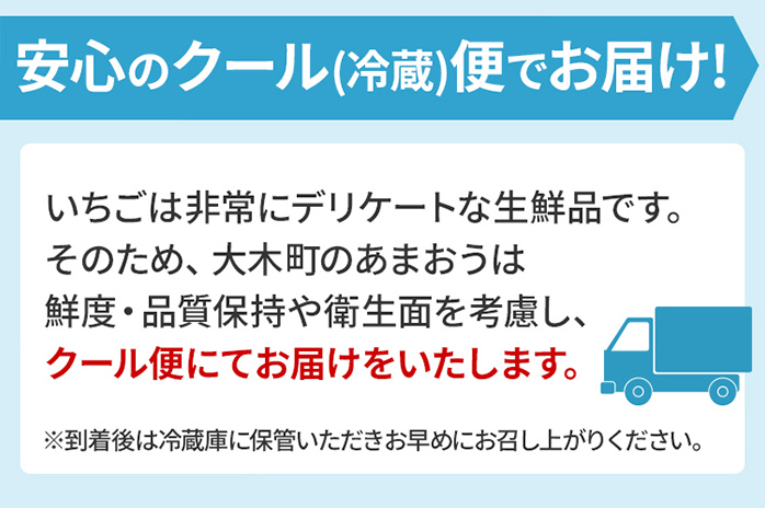 あまおう 約300g×2パック おすすめ 福岡県 大木町 BO003 【2024年12月下旬～2025年4月末頃にかけて順次出荷予定】いちご フルーツ 苺