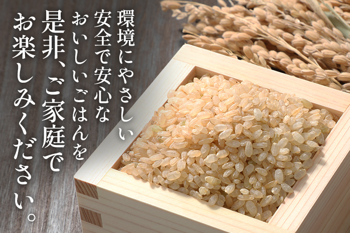 令和6年産 予約 合鴨米「元気つくし」（玄米・5ｋｇ） ※2024年10月中旬より順次出荷予定　BI09