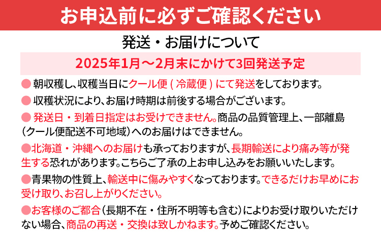 荒巻エコタロウ農園のぜいたく定期便（あまおう約300g×3回）※2025年1月～2月末にかけて3回出荷　BJ08