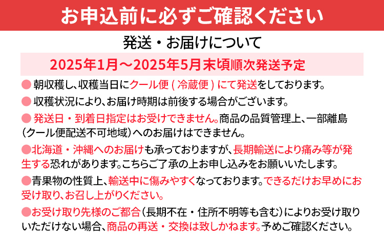 あまおう約270ｇ×4パック ＋ ジャムやケーキなど用 完熟あまおうの山もり1箱（約1kg/箱）　CE02