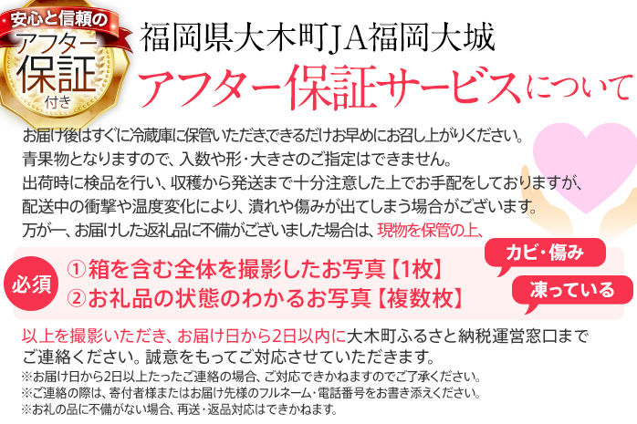 【定期便】博多あまおう 福岡県JAグループのブランドあまおういちご 1080g（約270g×4パック）×2回 ※2月・3月お届け アフター保証 いちご 博多あまおう 2025年先行予約受付 苺 大木町 JA福岡大城 フルーツ 果物 AG013