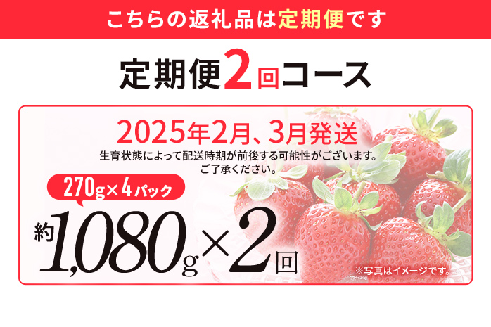 【定期便】博多あまおう 福岡県JAグループのブランドあまおういちご 1080g（約270g×4パック）×2回 ※2月・3月お届け アフター保証 いちご 博多あまおう 2025年先行予約受付 苺 大木町 JA福岡大城 フルーツ 果物 AG013