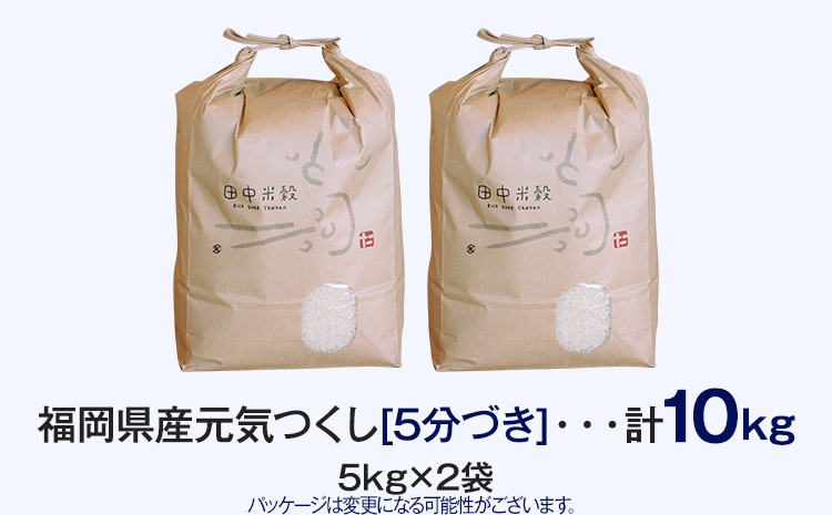 【令和5年産】 福岡県 大木町産 元気つくし 5分づき 10kg　(3～7分付米は玄米10kgより都度精米を行うため、お届け重量は10kg以下となります。詳細はページ内よりご確認ください)　BC02_5b