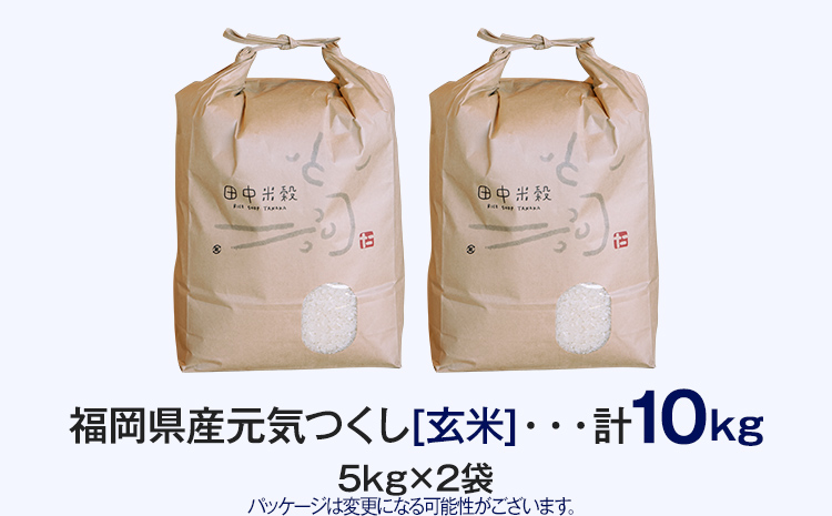 【令和5年産】 福岡県 大木町産 元気つくし 玄米 10kg　BC02_gm