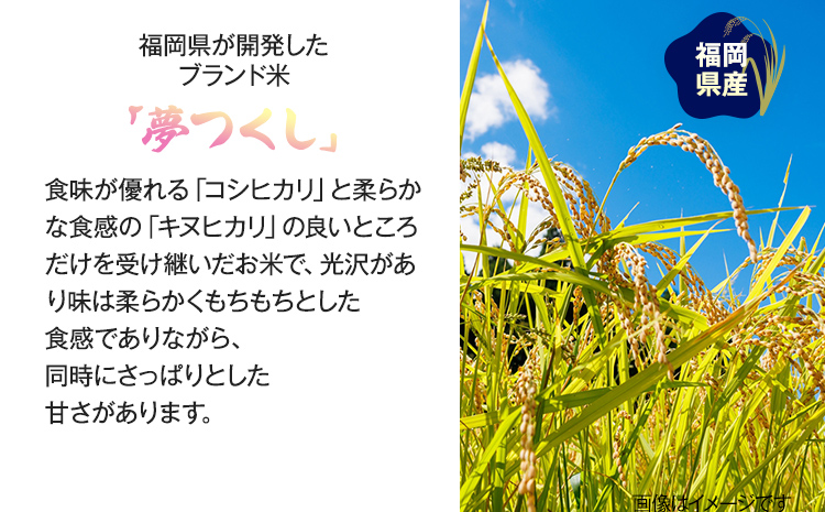 【令和5年産】 福岡県 大木町産 夢つくし 10kg 玄米　BC03_gm