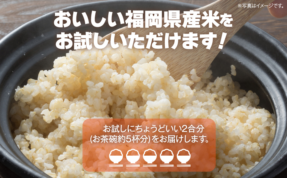 【令和5年度米】福岡県 大木町産のお米 夢つくし 玄米 真空パック お試し2合 300g 福岡県 大木町 株式会社田中米穀 BC09_gm