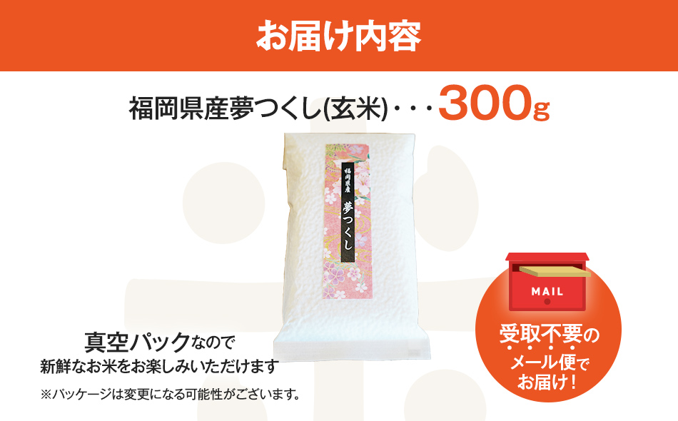 【令和5年度米】福岡県 大木町産のお米 夢つくし 玄米 真空パック お試し2合 300g 福岡県 大木町 株式会社田中米穀 BC09_gm