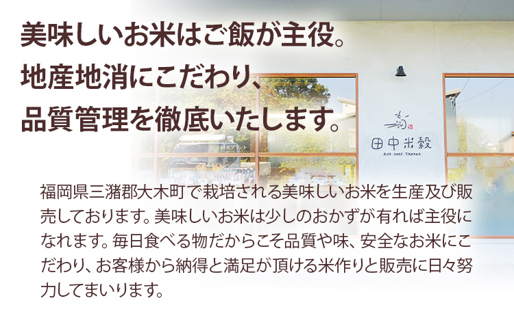 【令和5年度米】福岡県 大木町産のお米 夢つくし 玄米 真空パック お試し2合 300g 福岡県 大木町 株式会社田中米穀 BC09_gm