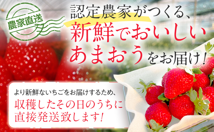 【先行予約/2025年】大木町産 あまおう いちご 約270ｇ×4パック《2025年2月以降順次発送》イチゴ 苺 果物 おすすめ 福岡県 大木町 CL001