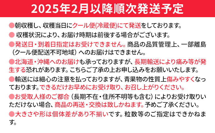 【先行予約/2025年】大木町産 あまおう いちご 約270ｇ×4パック《2025年2月以降順次発送》イチゴ 苺 果物 おすすめ 福岡県 大木町 CL001