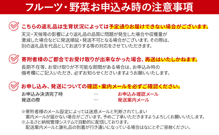 【先行予約/2025年】大木町産 あまおう いちご 約270ｇ×4パック《2025年2月以降順次発送》イチゴ 苺 果物 おすすめ 福岡県 大木町 CL001