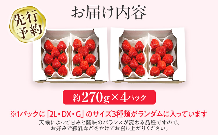 【先行予約/2025年】大木町産 あまおう いちご 約270ｇ×4パック《2025年2月以降順次発送》イチゴ 苺 果物 おすすめ 福岡県 大木町 CL001