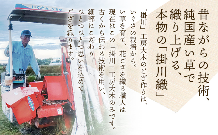 純国産天然いぐさ 「掛川織」 フリーマット 大 （緑色） 純国産 いぐさ い草 天然 自家生産 掛川 ラグ BG025