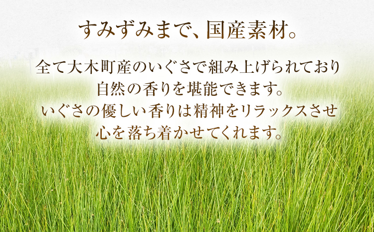 純国産天然いぐさ 「掛川織」 フリーマット 大 （赤色） 純国産 いぐさ い草 天然 自家生産 掛川 ラグ BG026