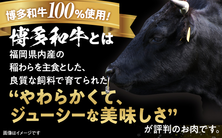 博多和牛生ハンバーグ140g×6個 おすすめ 福岡県 大木町 博多和牛 生ハンバーグ ハンバーグ 肉汁 CM002