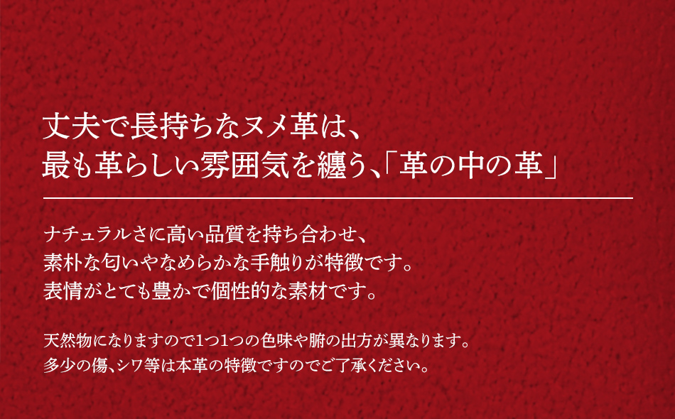 イントロ/名刺入れ（イタリアンレザー・レッド） カードケース レディース メンズ 二つ折り カード入れ 名刺ケース カード収納 プレゼント おすすめ 福岡県 大木町 ナデルファーデン BK135