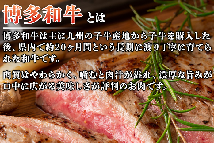 博多和牛サーロインステーキ 250g 黒毛和牛 お取り寄せグルメ お取り寄せ お土産 九州 福岡土産 取り寄せ グルメ MEAT PLUS CP011