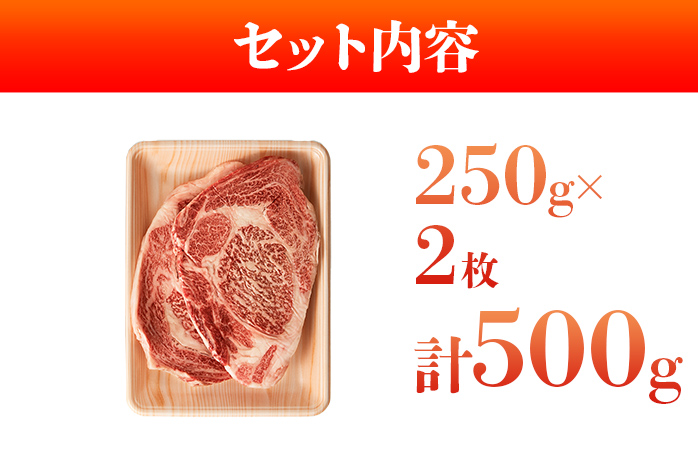 博多和牛サーロインステーキ 500g 黒毛和牛 お取り寄せグルメ お取り寄せ お土産 九州 福岡土産 取り寄せ グルメ MEAT PLUS CP012