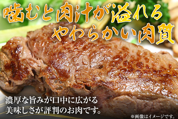 博多和牛ヒレステーキ 450g（150g×3枚） 黒毛和牛 お取り寄せグルメ お取り寄せ お土産 九州 福岡土産 取り寄せ グルメ MEAT PLUS CP029