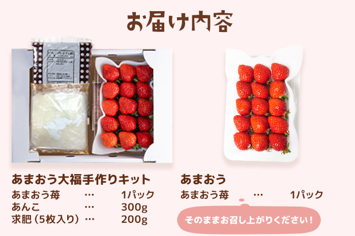 あまおう大福 手作りキット 大福 和菓子 キット セット 【2025年1月～4月にかけて順次出荷予定】餡子 あん お菓子 手作り 苺 いちご 福岡県 大木町 池上農園 BD14