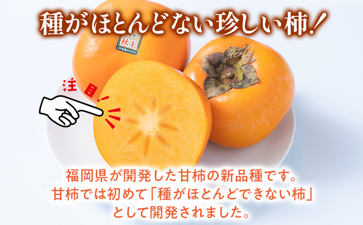 期間限定 福岡県産ブランド柿「秋王」 約1.5kg(4-6玉) 返礼品 お取り寄せグルメ お取り寄せ グルメ カキ かき 果物 フルーツ 南国フルーツ CO011