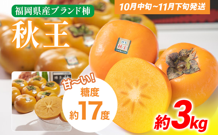 期間限定 福岡県産ブランド柿「秋王」 約3kg（8-12玉）返礼品 お取り寄せグルメ お取り寄せ グルメ カキ かき 果物 フルーツ 南国フルーツ CO012