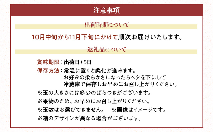 福岡産ブランド 柿 秋王 約3kg（8-12玉）