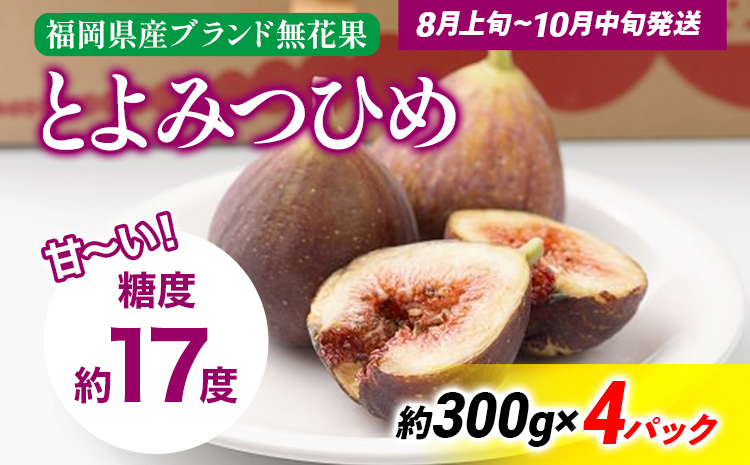 期間限定 いちじく 「とよみつひめ」 1.2kg 福岡県産ブランド フルーツ 無花果 (約300g×4パック) 1200g南国フルーツ CO013